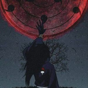 Meet your Posher, Saul